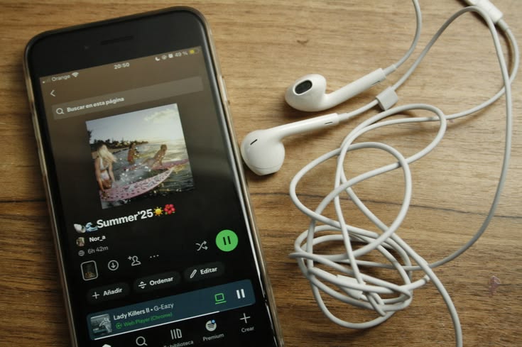 langganan musik streaming